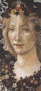 Primavera (mk36) Botticelli